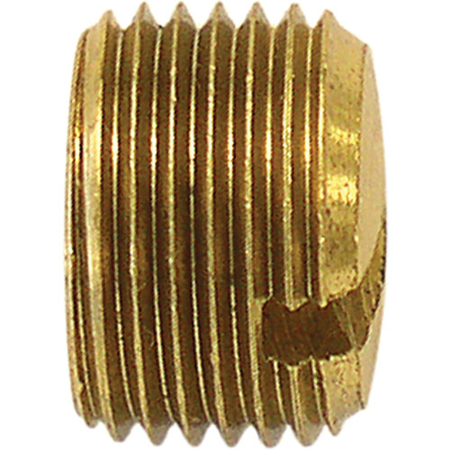 Pipe Plug (Slotted), 1/4" Dia., Brass Absolute Business Supply