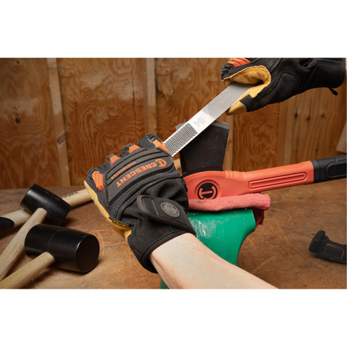 4-in-Hand&reg; Rasp & File Absolute Business Supply
