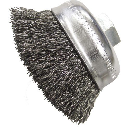 Brosses-boisseau &agrave; fils cr&ecirc;p&eacute;s 2 3/4" Absolute Business Supply