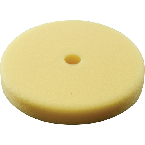 Polishing Pad, 7" Dia. Absolute Business Supply