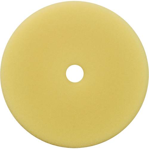Polishing Pad, 7" Dia. Absolute Business Supply