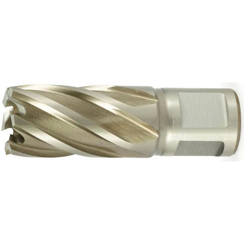 CLE-LINE 4500 Short Annular Cutter, 13/16" Diameter, High Speed Steel, 1" Depth of Cut, 3/4" Shank Absolute Business Supply