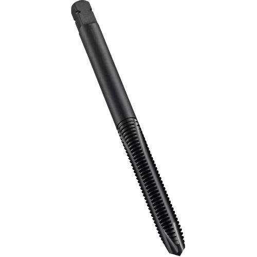 Taraud &agrave; entr&eacute;e h&eacute;licoidale, Acier rapide au cobalt, Filet de M8x1, 2-23/32" l Absolute Business Supply