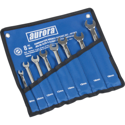Jeu de cl&eacute;s &agrave; cliquet &agrave; t&ecirc;te fixe, Combinaison, 8 morceaux, M&eacute;trique Absolute Business Supply
