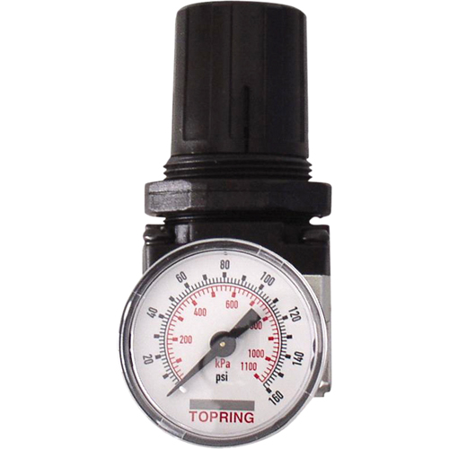 Regulators, 1/4" NPT, 150 PSI Max. PSI, Modular Absolute Business Supply
