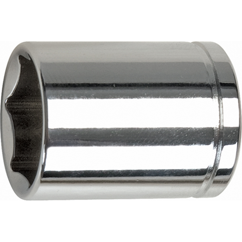 Metric Socket, 10 mm, 3/8" Drive, 6 Points Absolute Business Supply