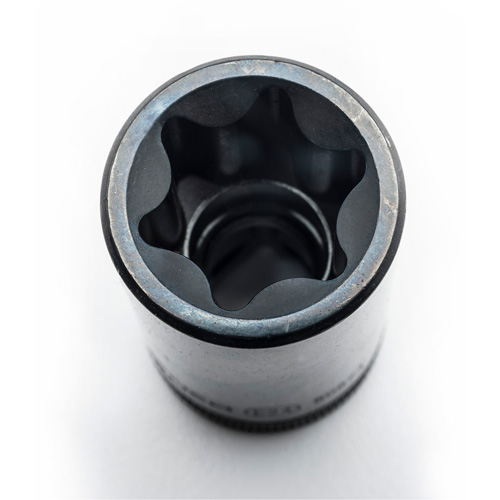 Jeu de douilles externes Torx, Prise 1/2"/1/4"/3/8" Absolute Business Supply