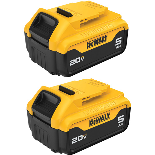 Max XR&reg; Premium Battery Pack, Lithium-Ion, 20 V, 5 A Absolute Business Supply