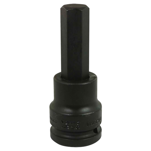 Impact Bit Socket, Hex, 19 mm x 3/4" Drive Absolute Business Supply