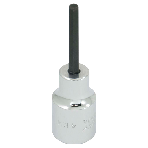 Embout de rechange, 5 mm x 1-1/5" lo, Prise 3/8" Absolute Business Supply