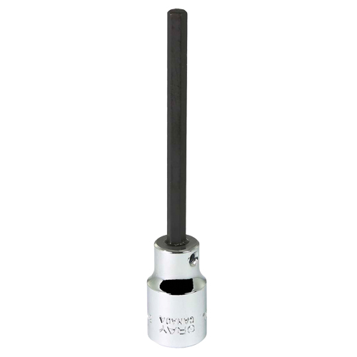 Bit Socket, 5 mm x 3-7/8" L, 3/8" Drive Absolute Business Supply