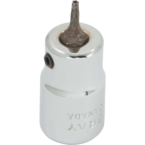 Douille &agrave; embout, Torx, T7 x 2-1/8" lo, Prise 3/8" Absolute Business Supply