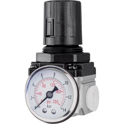 Air Regulator (Gauge Included), 1/2" NPT, 220 PSI Max. PSI, Modular Absolute Business Supply