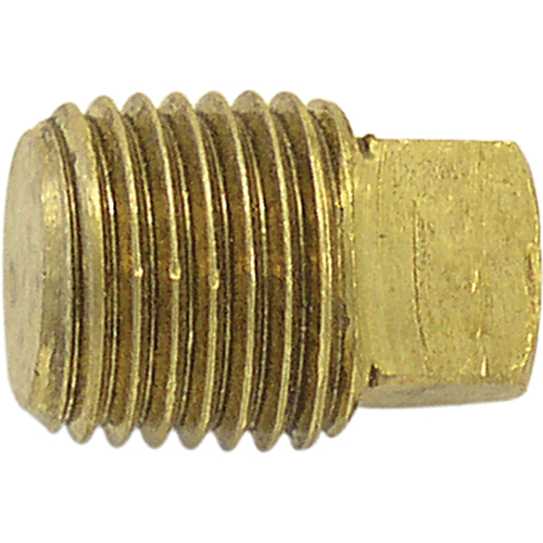 Pipe Plugs (Square Head), 1/4" Dia., Brass Absolute Business Supply