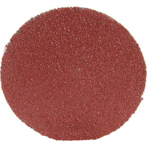 Roloc Disc 361F, 1-1/2" Dia., P100 Grit, Aluminum Oxide Absolute Business Supply