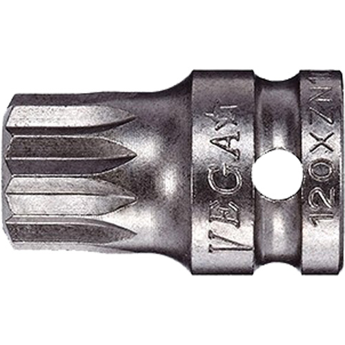 Socket Bit, Triple Square, 5 x 3/4" L, 1/4" Drive Absolute Business Supply