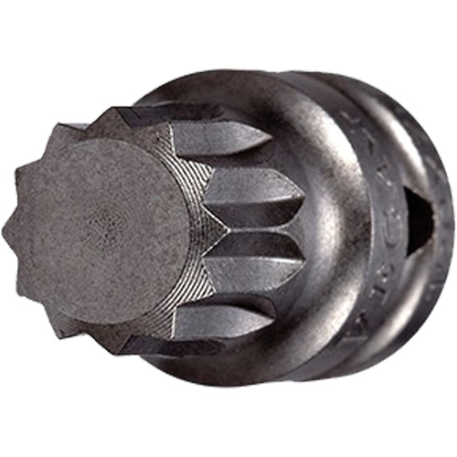 Socket Bit, Triple Square, 5 x 3/4" L, 1/4" Drive Absolute Business Supply
