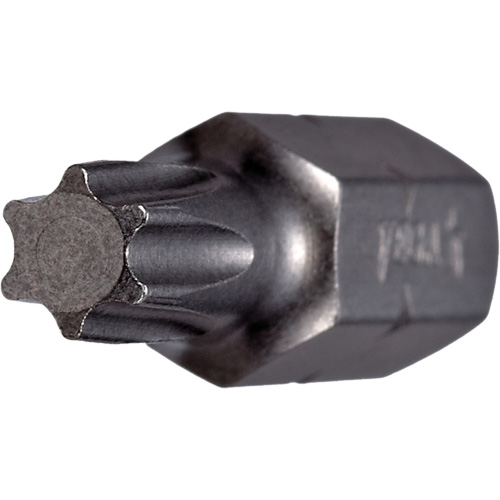 Embout, Torx, 8, Prise 1/4" Absolute Business Supply