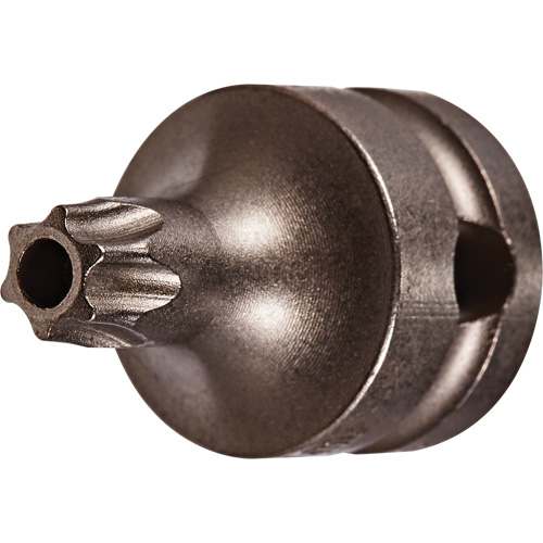 Socket Bit, Torx&reg; Tamper, 25 x 1" L, 3/8" Drive Absolute Business Supply
