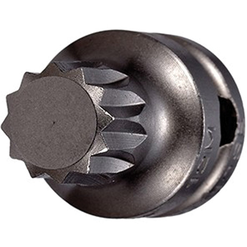 Socket Bit, Triple Square, 5 x 1" L, 3/8" Drive Absolute Business Supply