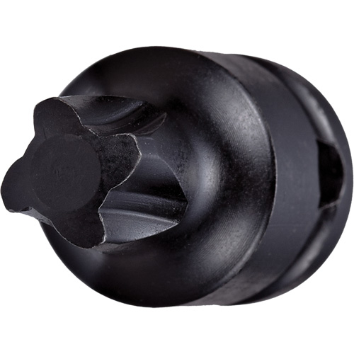 Socket Bit, Mortorq&reg; Super, 4 x 1-1/4" L, 3/8" Drive Absolute Business Supply