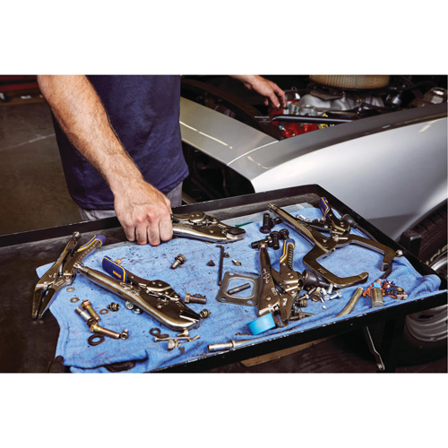 Pince-&eacute;tau avec coupe-fil Vise-Grip Fast Release 6LN, Longueur 6", Bec long Absolute Business Supply