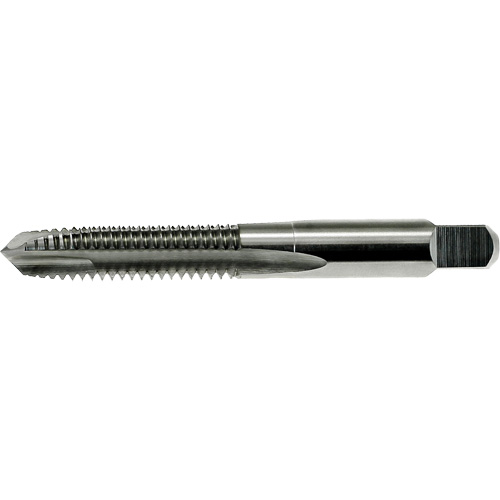 Taraud &agrave; pointe spiral&eacute;e surdimensionn&eacute;e Nitro DRILLCO, Acier rapide, Filet de 5/16"-18 Absolute Business Supply
