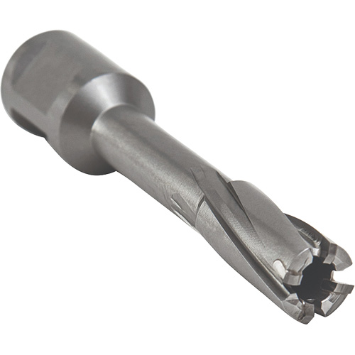 Core Cut Annular Cutter with Weldon Shank, 12 mm Diameter, Carbide, 55 mm Depth of Cut, 3/4" Shank Absolute Business Supply