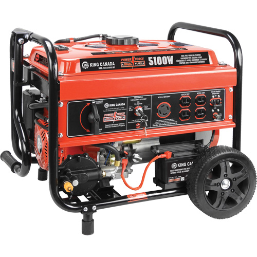 Gasoline/Propane Generator with Electric Start Absolute Business Supply