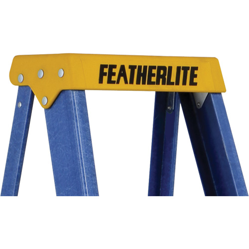 Escabeaux industriels (s&eacute;rie 6300), 4', Fibre de verre, Capacit&eacute; 250 lb, Type 1 Absolute Business Supply