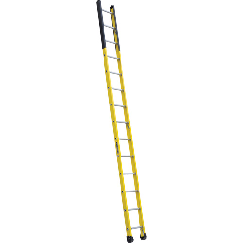 &eacute;chelle &eacute;troite pour trou d'homme, 14', Fibre de verre, 375 lb, CSA calibre 1AA Absolute Business Supply