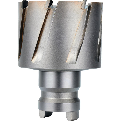 Fraise avec tenon &agrave; changement rapide Drive Hawg, Diam&egrave;tre de 2", Acier, Profondeur de la coupe de 1" Absolute Business Supply