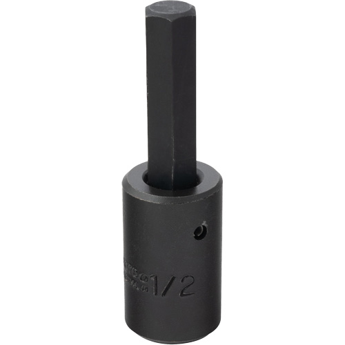 Socket Bit, Hex, 1/2" x 3-5/8" L, 1/2" Drive Absolute Business Supply