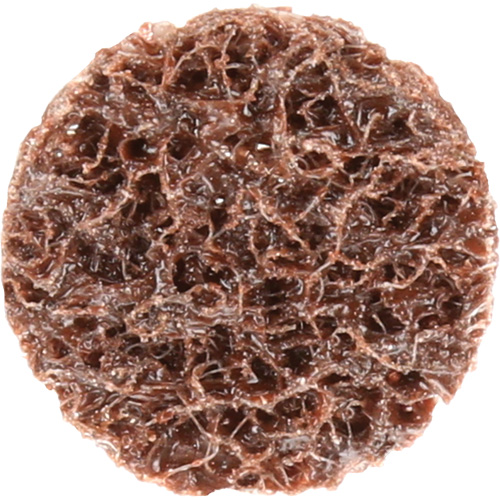 Disque de conditionnement de surface &agrave; remplacement rapide Standard Abrasives, 3/4" dia., Grain Cors&eacute;, Oxyde d'aluminium Absolute Business Supply