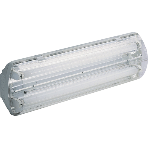 Lampes Vapor-Tight s&eacute;rie BS100 Illumina, Polycarbonate, 120 V Absolute Business Supply