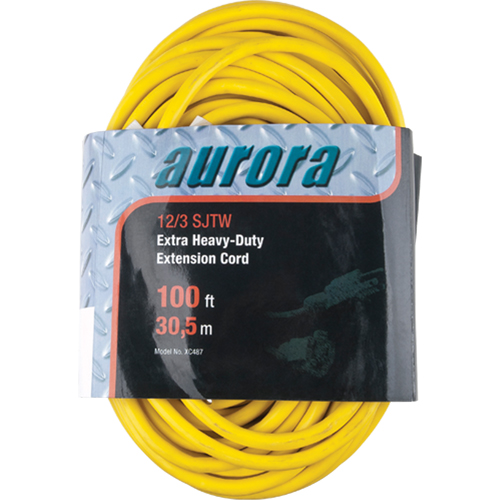 Cordon rallonge en vinyle, Ext&eacute;rieur, SJTW, AWG 12/3, 15 A, 100' Absolute Business Supply