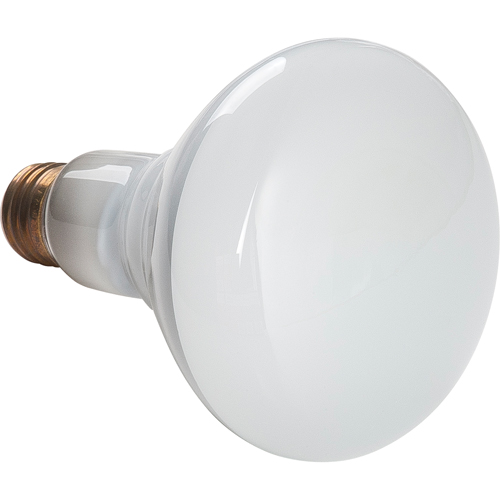 Economy Line Incandescent Lamps Absolute Business Supply