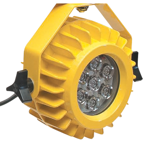 Lampe robuste DEL pour les quais - t&ecirc;te seulement Absolute Business Supply