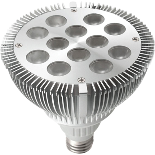 Dock Lights - Accessories, PAR38 Absolute Business Supply