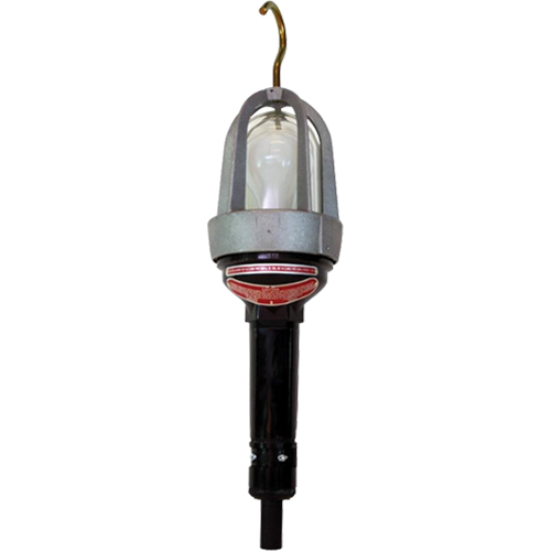 Baladeuses pour emplacements dangereux, DEL, 20 W, 2400 Lumens Absolute Business Supply