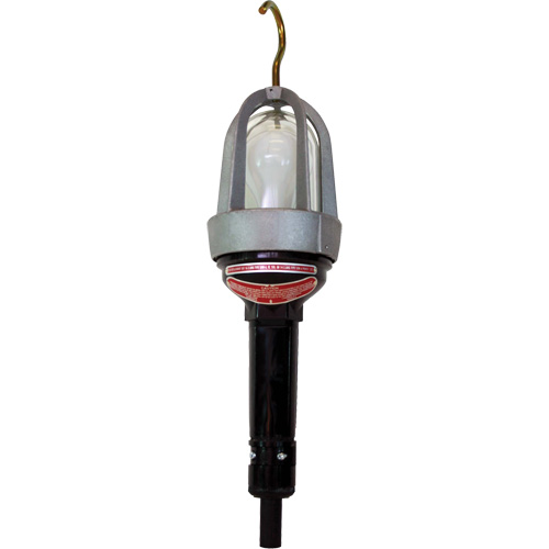 Baladeuses pour emplacements dangereux Absolute Business Supply