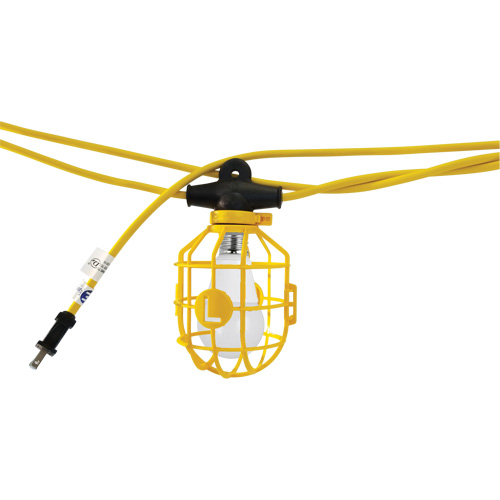 Chaînes de lumi&egrave;res DEL avec connecteur, 10 Lumi&egrave;res, 1200" lo, Boîtier en Plastique Absolute Business Supply