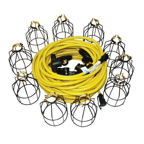 Guirlandes lumineuses &agrave; DEL, 10 Lumi&egrave;res, 100' lo, Boîtier en M&eacute;tal Absolute Business Supply