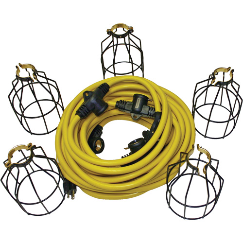 Guirlande &eacute;lectrique &agrave; DEL avec connecteur, 5 Lumi&egrave;res, 50' lo, Boîtier en M&eacute;tal Absolute Business Supply
