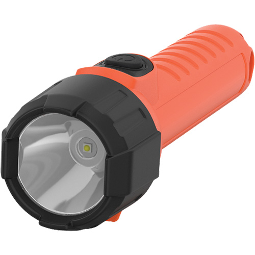 Lampe de poche portative Intrinsically Safe, DEL, 150 lumens, Piles AA Absolute Business Supply