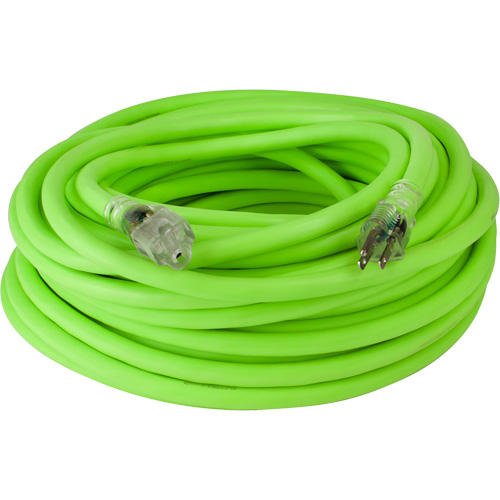 Cordon rallonge industriel Flexzilla Pro, Toutes saisons, SJTW, AWG 10/3, 15 A, 100' Absolute Business Supply