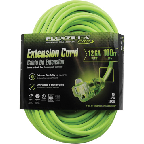 Cordon rallonge industriel Flexzilla Pro, Toutes saisons, SJTW, AWG 12/3, 15 A, 100' Absolute Business Supply