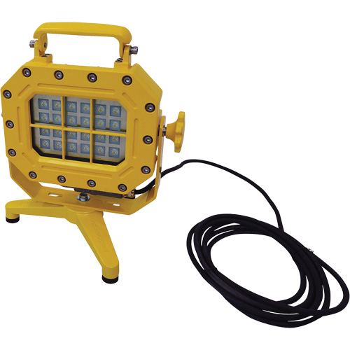 Explosion Proof Floodlight with Stand, LED, 40 W, 5600 Lumens, Aluminum Housing Absolute Business Supply