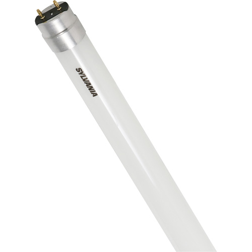 Ampoule DEL en verre givr&eacute; SubstiTUBE, 12 W, T8, 5000 K, 48" l Absolute Business Supply