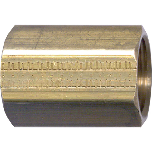 Pipe Coupling, Brass, 3/8" Absolute Business Supply